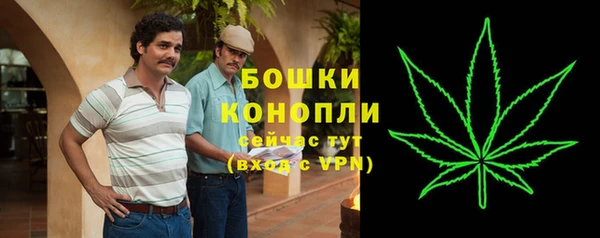 крисы Киренск
